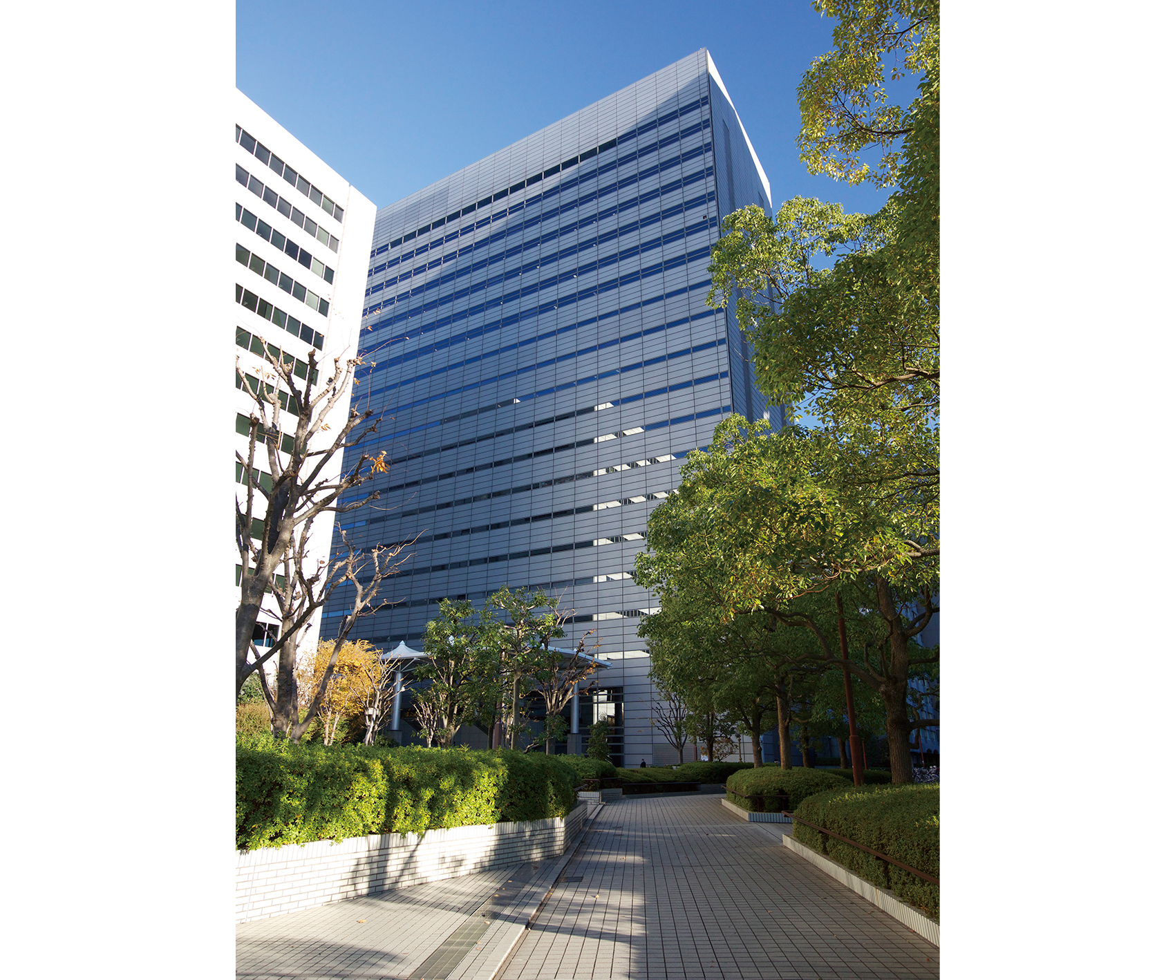 アルファメディック・クリニック