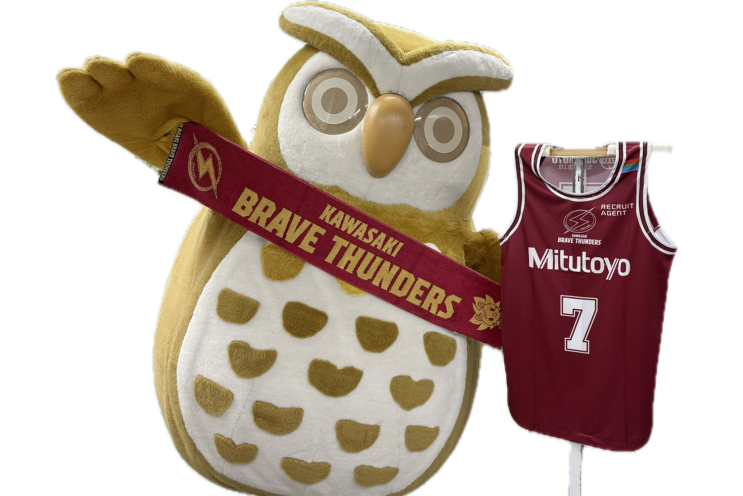 プレゼント企画