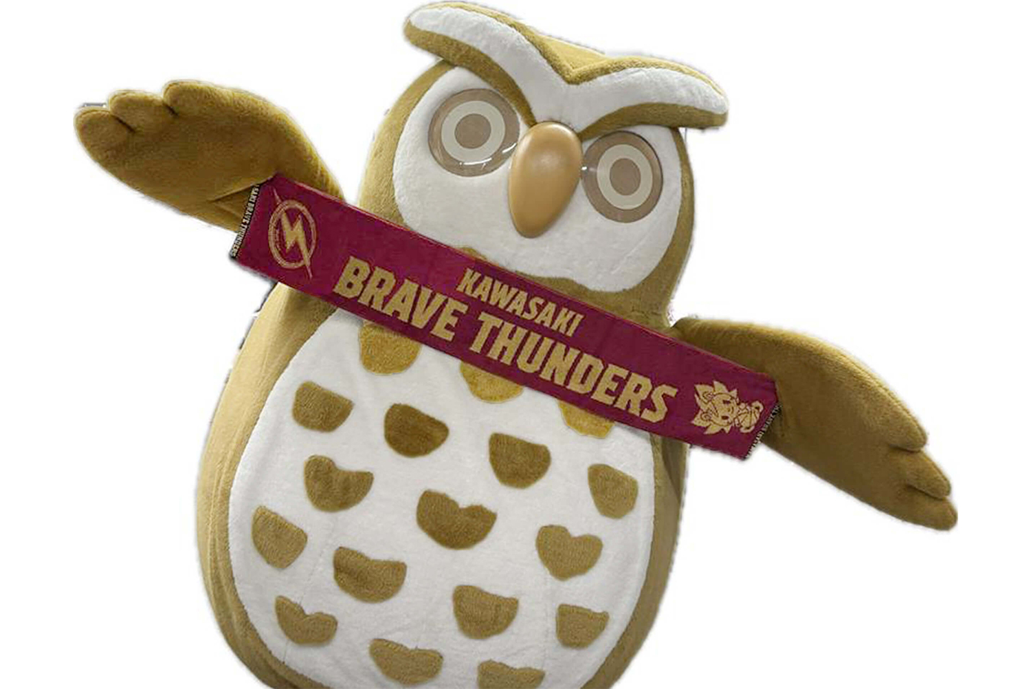 B賞　川崎ブレイブサンダース　マフラータオル（抽選・16名様）