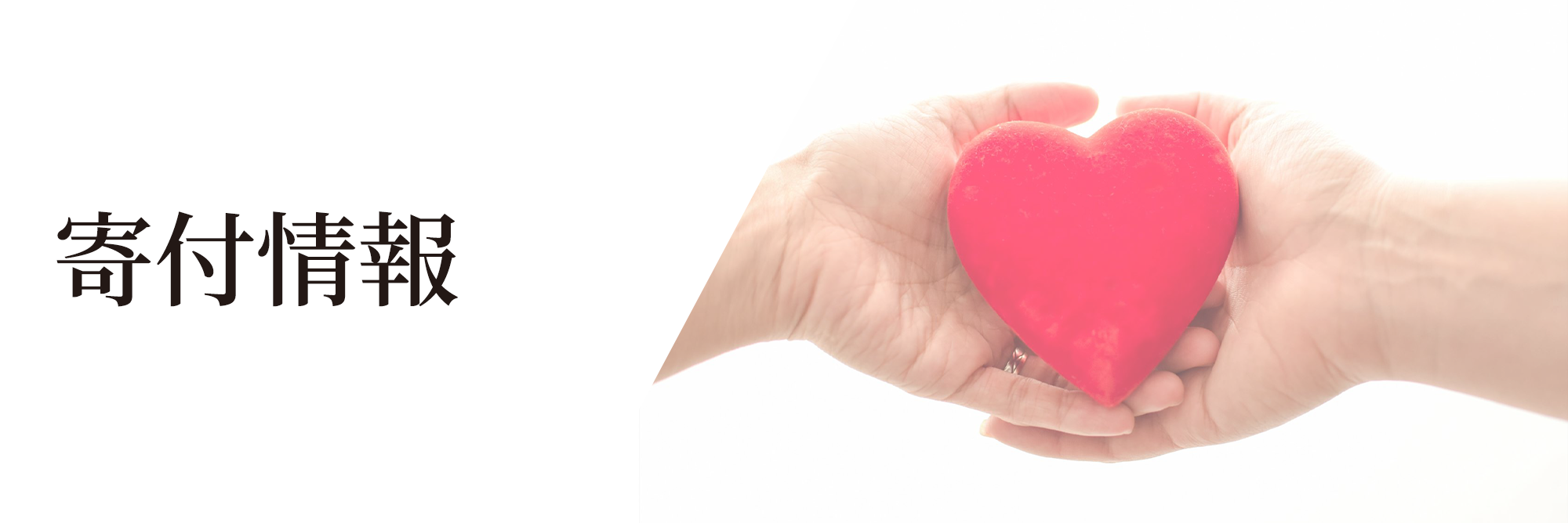 寄付情報